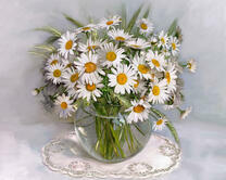 Без бренда «2KMA-0021» в Магнитогорске