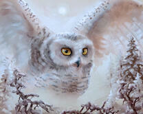 Без бренда «2KMB-3848» в Магнитогорске