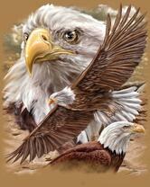 Без бренда «2KMB-4315» в Магнитогорске