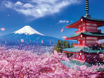 Без бренда «2KSB-7277» в Магнитогорске