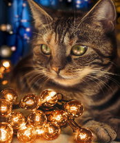 Без бренда «2KXSB-0678» в Магнитогорске