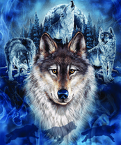 Без бренда «2KXSB-0687» в Магнитогорске