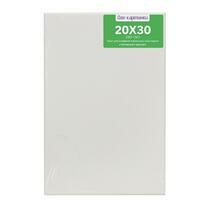 Без бренда «Коробка 80 шт.: Холст Две картинки на подрамнике 20X30» в Магнитогорске