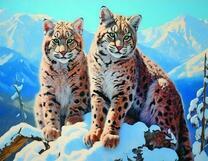 Две рыси на снегу