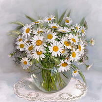 Без бренда «Букет свежих ромашек» в Магнитогорске