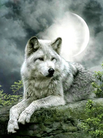 Без бренда «Коробка 25 шт. картин по номерам BOX25-GX21058» в Магнитогорске