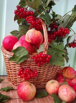 Без бренда «Коробка 25 шт. картин по номерам BOX25-GX5174» в Магнитогорске