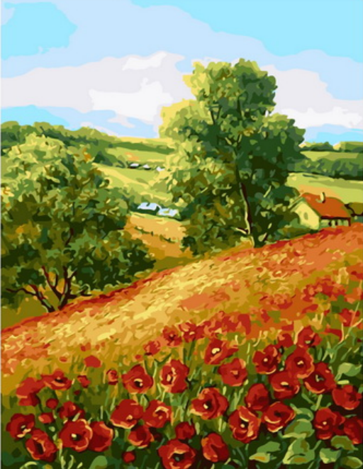 Картина по номерам 40x50 Маковая поляна за деревней