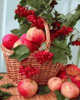 Без бренда «Плетёная корзина с калиной и яблоками» в Магнитогорске в интернет-магазине  Без бренда «Плетёная корзина с калиной и яблоками» в Магнитогорске