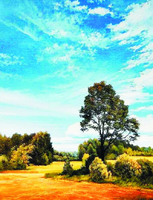 Без бренда «Осенний пейзаж с голубым небом» в Магнитогорске в интернет-магазине  Без бренда «Осенний пейзаж с голубым небом» в Магнитогорске