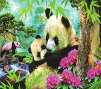 Райское место для панд