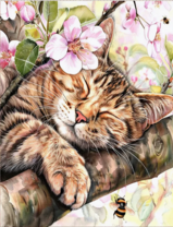 Без бренда «Волосатый котик спит на ветви яблони» в Магнитогорске